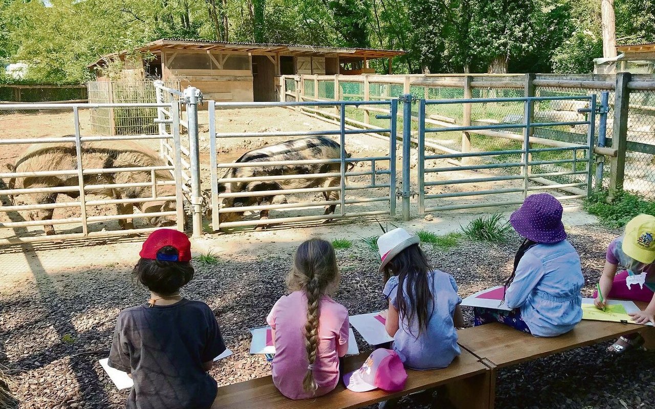 Kinder lernen in der Ethikschule auch, Tieren Raum zu geben und aus der Ferne zu beobachten. 