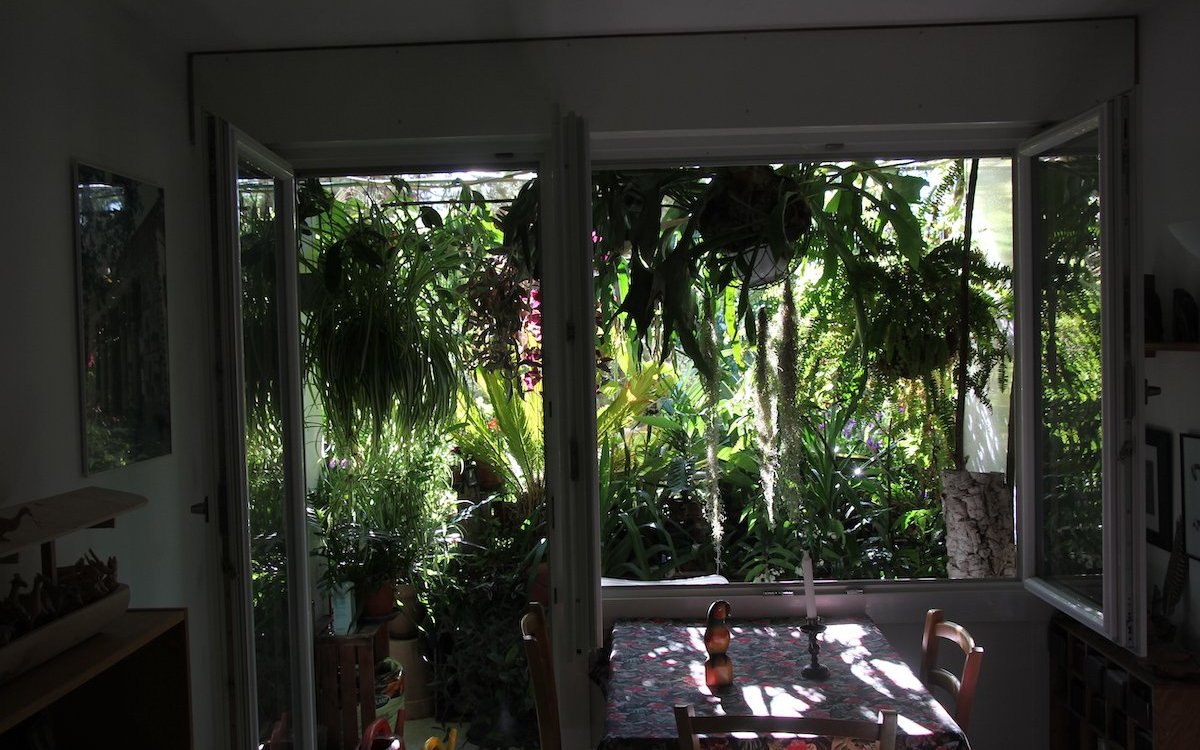 Der Blick vom Zimmer ins Pflanzengrün ist wohltuend. Grünlilien, Zebraampelkraut, Yukkapalmen, Palmfarn und Hirschgeweihfarn entfalten sich draussen bestens. 