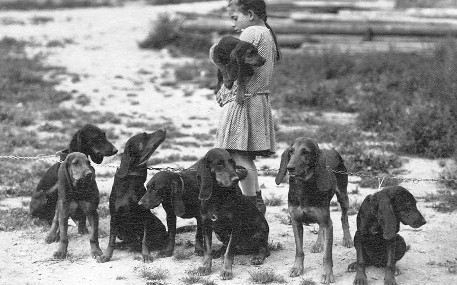 Bereits vor 100 Jahren zeigten sich Laufhunde als tolle Familiengefährten.