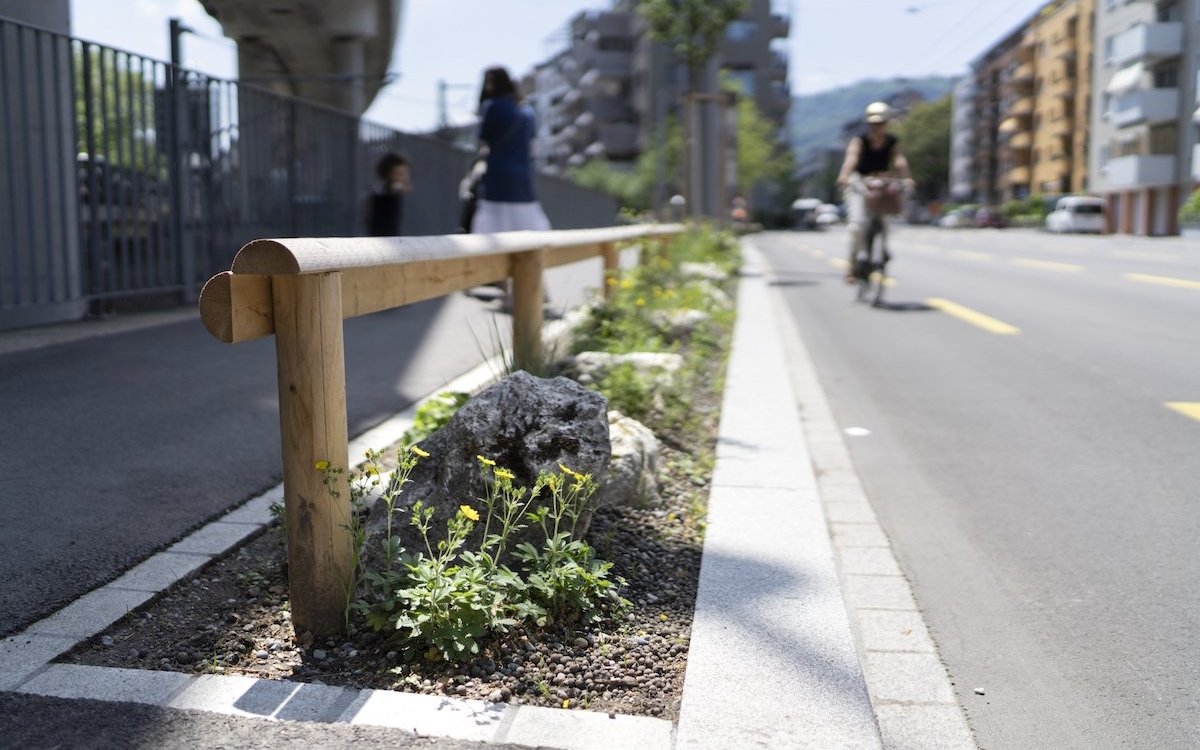 Mit Grünstreifen schafft es die Stadt Zürich, dass die Natur in regelmässigen Abständen ihren Platz hat. 