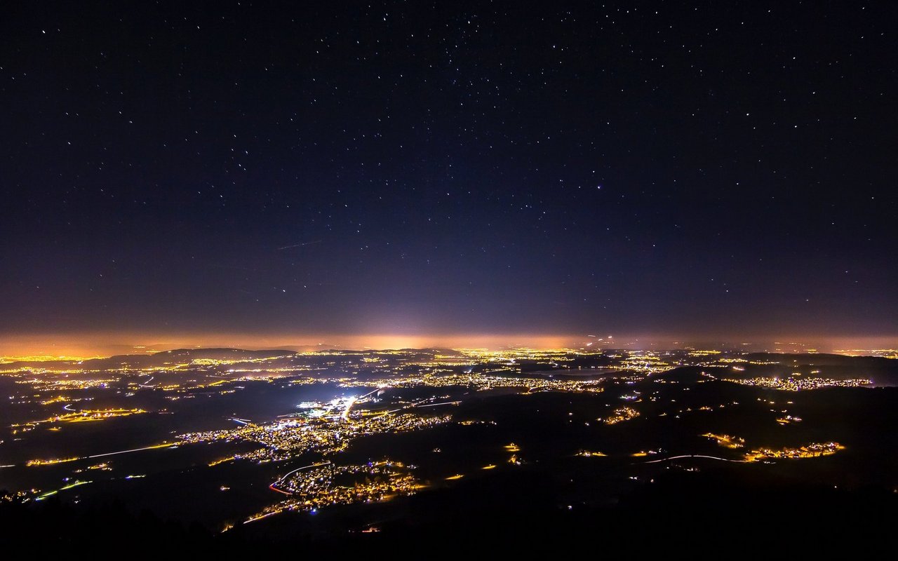 Die Lichtverschmutzung stört auch das Tierreich. 