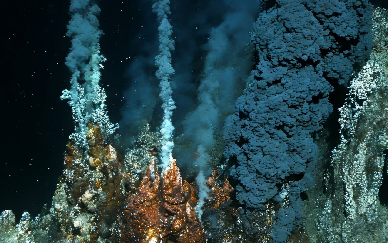 Hydrothermale Quellen in der Tiefsee – einzigartige Lebensräume, die durch den Tiefseebergbau gefährdet werden könnten.