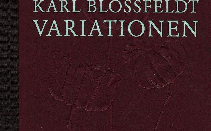 Cover von: Ulrike Meyer Stump: "Karl Blossfeldt Variationen"