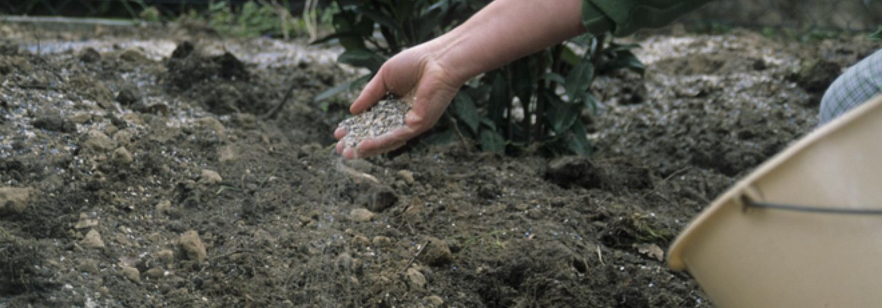 Düngen verbessert auch die Gartenböden.