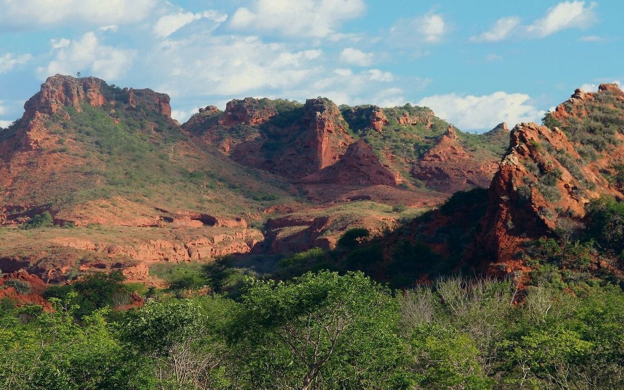 Rötliche Felsen prägen die Weiten der brasilianischen Caatinga.