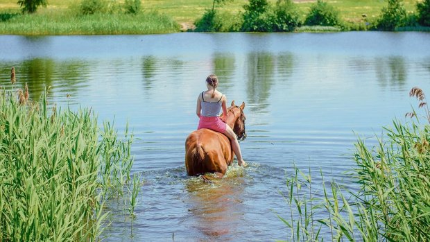 Baden mit Pferd