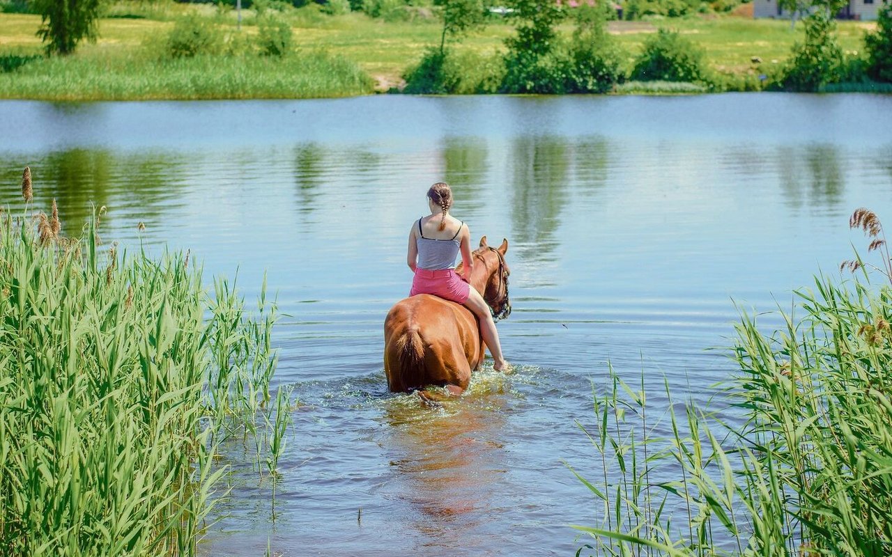 Baden mit Pferd.