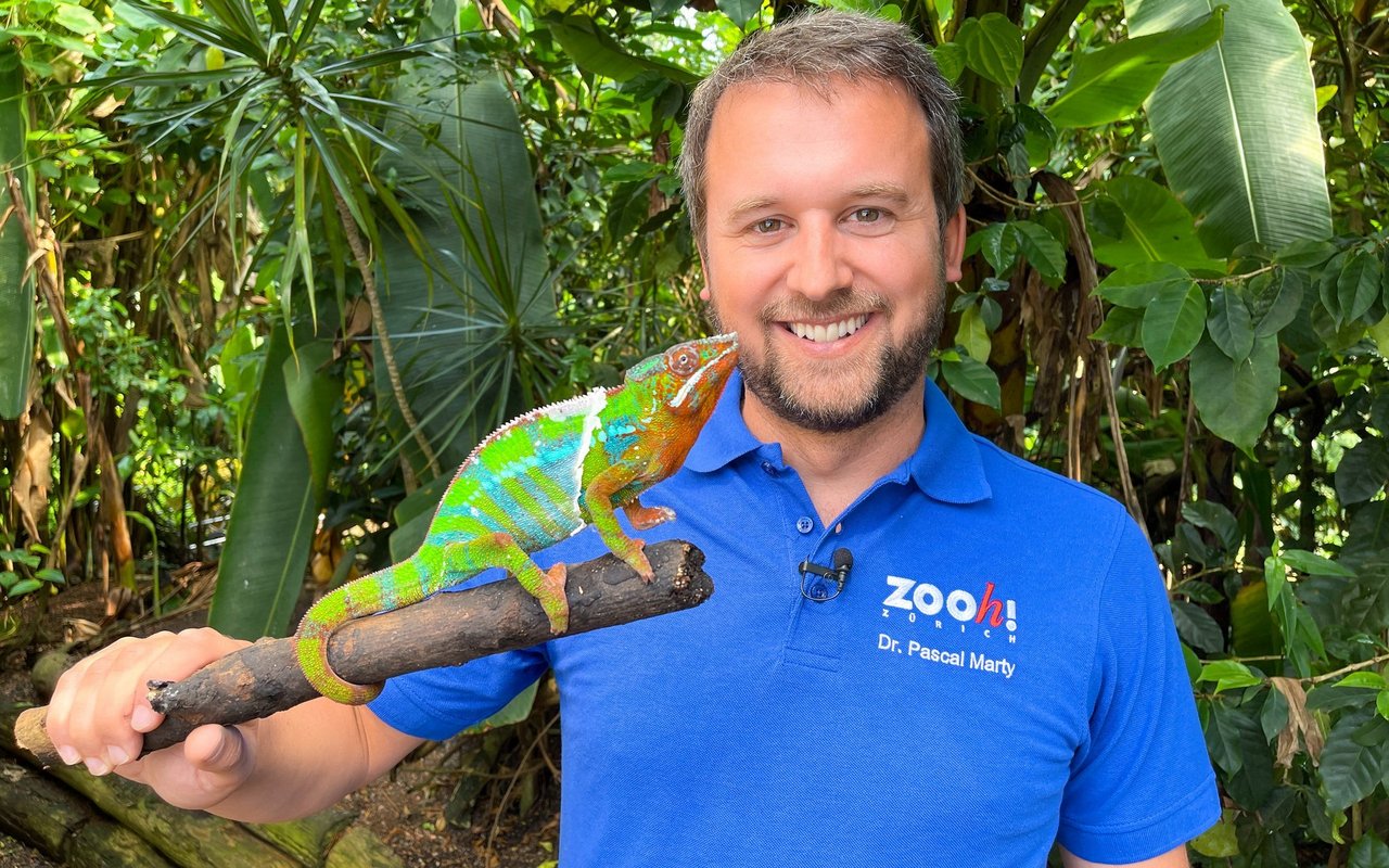 Pascal Marty ist Kurator im Zoo Zürich. 