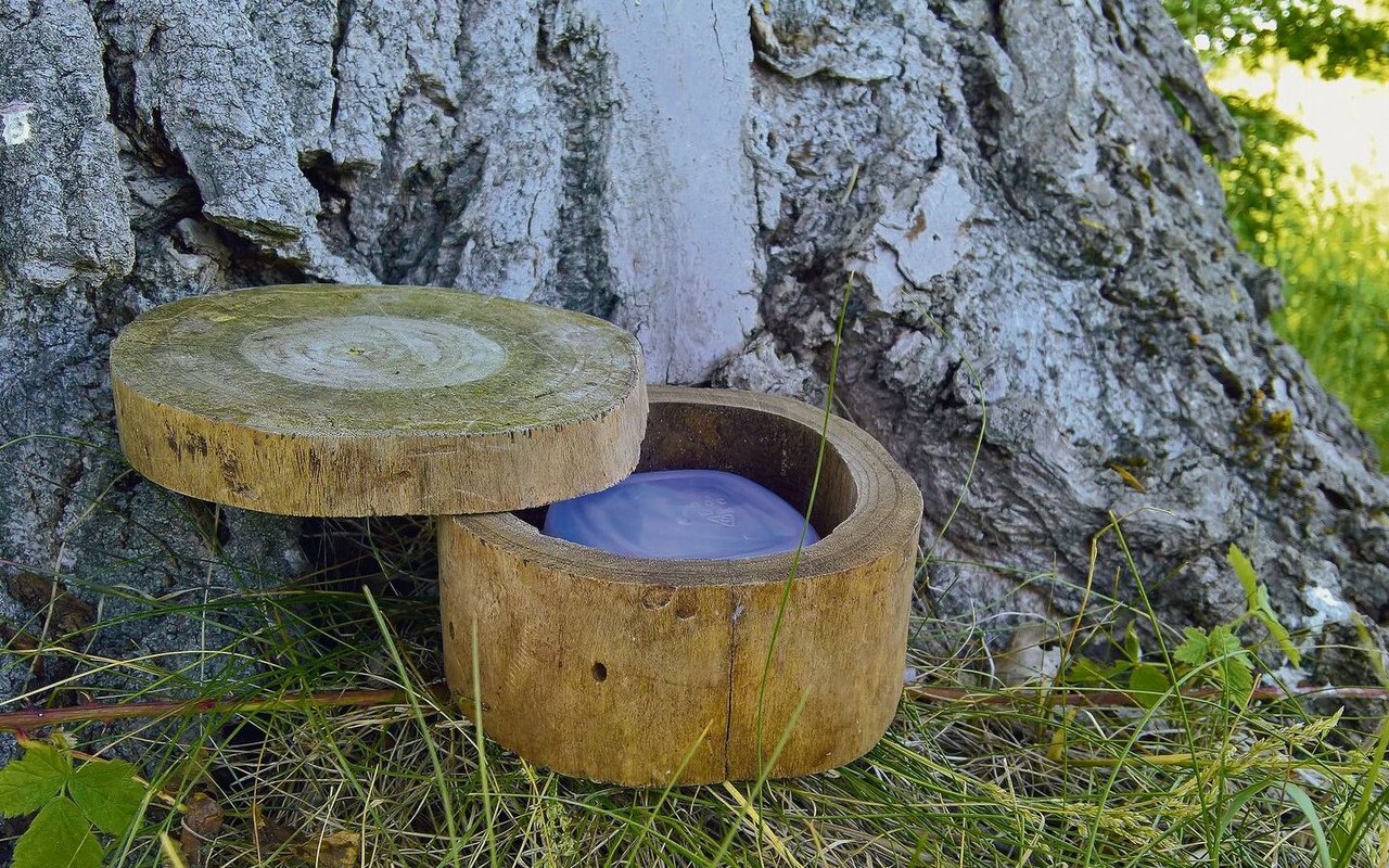 Cache versteckt in einem Baumstamm.