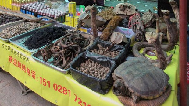 Chinesische "Medizin" aus Wildtieren auf einem Markt in China