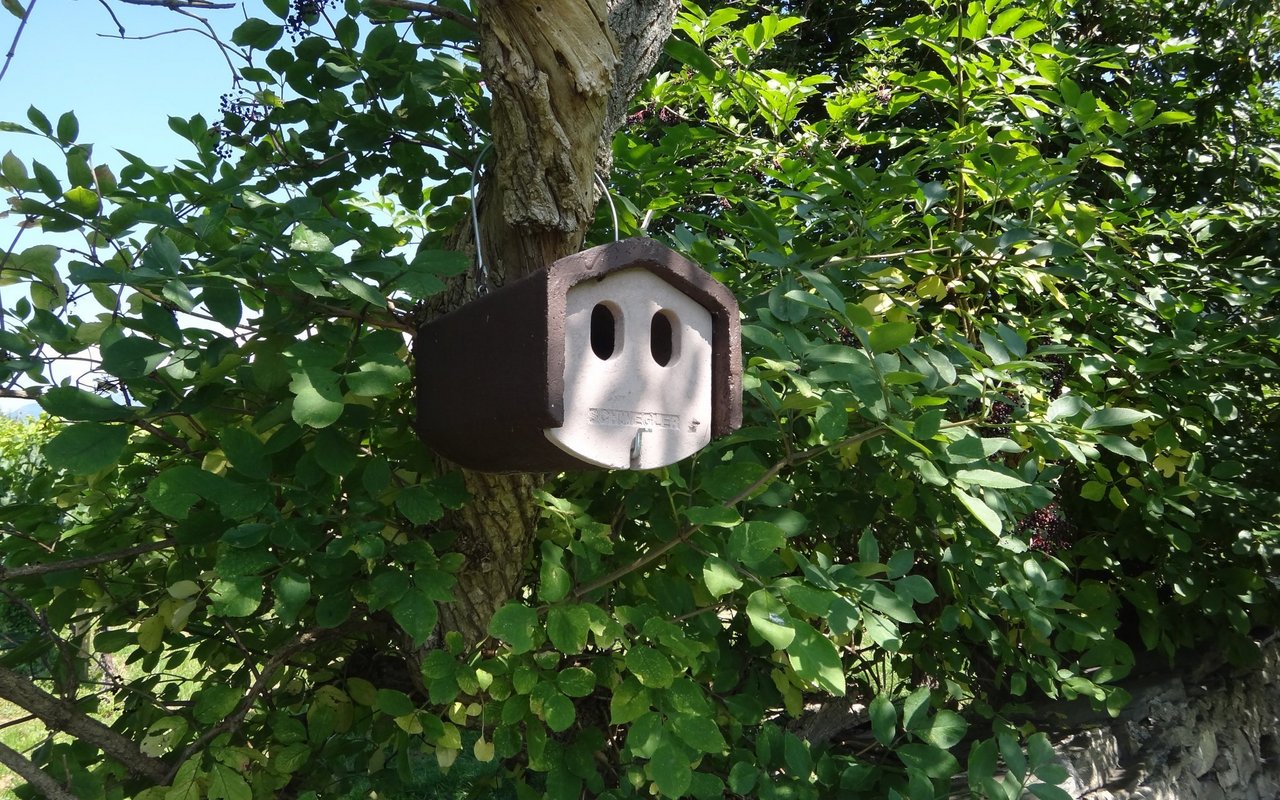 Ein Halbhöhlenkasten mit zwei Löchern. 