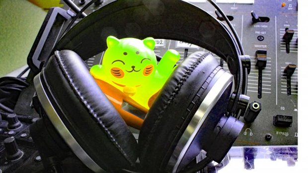 Tierwelt-Spotify-Liste 14-2021