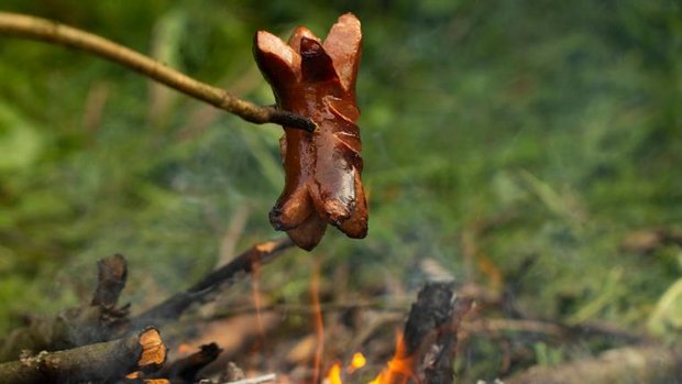 Cervelat am Stecken über Feuer