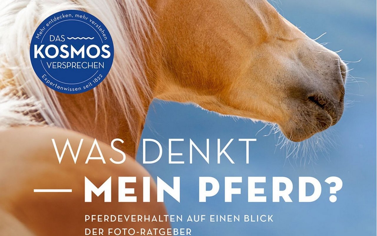 Carola von Kessel macht die Pferdesprache anhand zahlreicher Fotos verständlich.