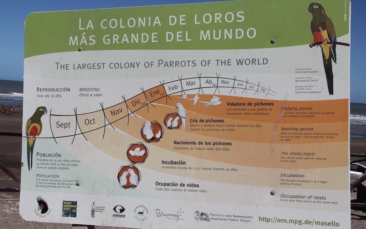 Diese Tafel weist auf die Felsensittich-Kolonie von El Cóndor in Argentinien hin. 