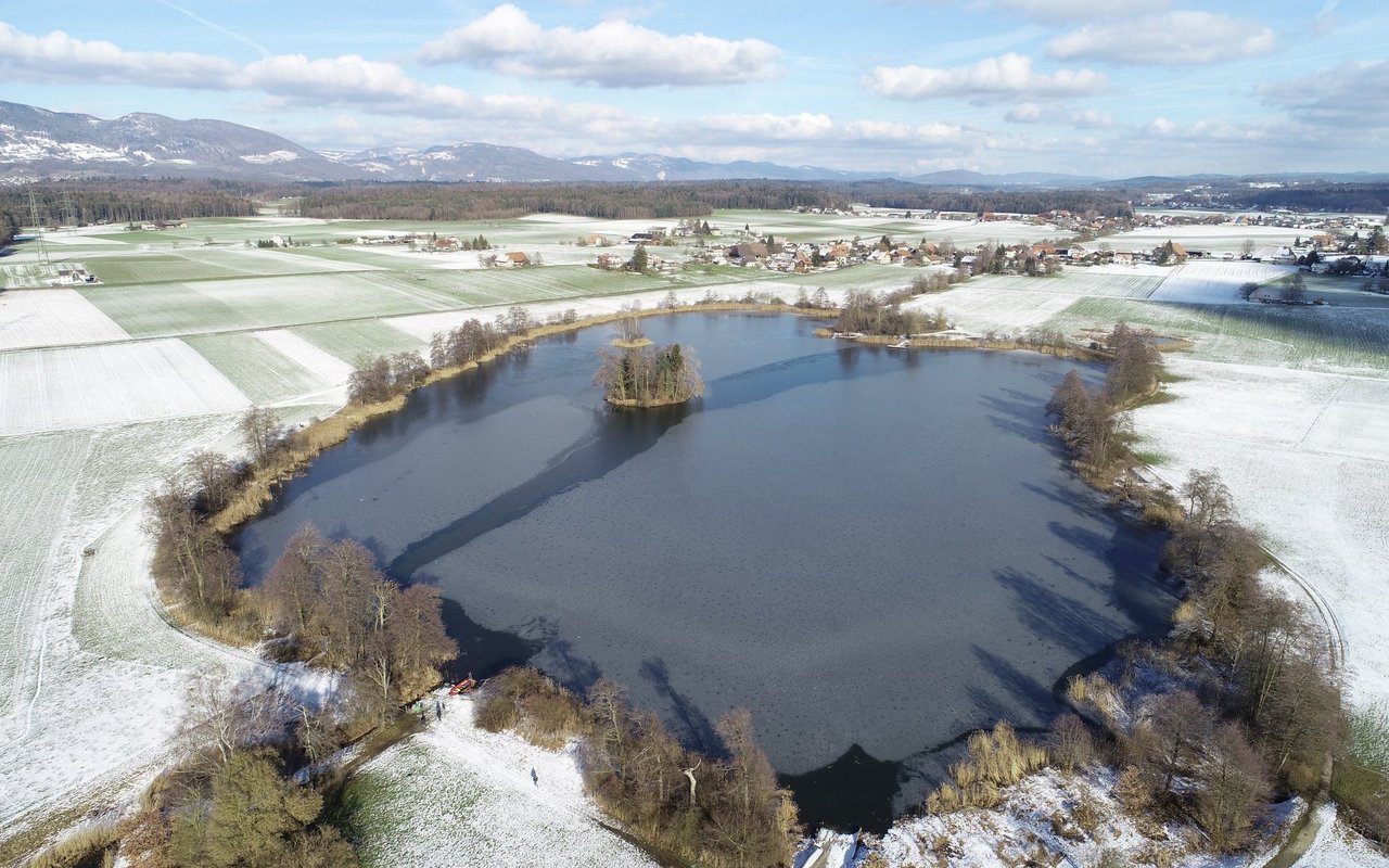 Die grosse Insel im Inkwilersee, eine archäologische Fundstelle von nationaler und internationaler Bedeutung. 