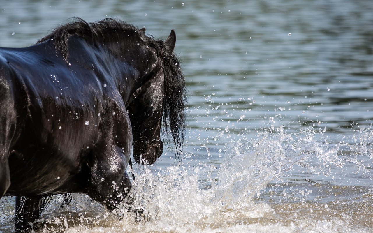 Splish Splash. 