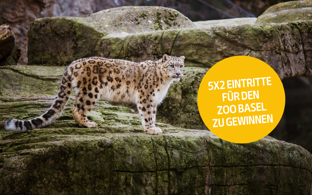 Die TierWelt verlost 5x2 Tickets für Kinder und Jugendliche in den Zoo Basel. 