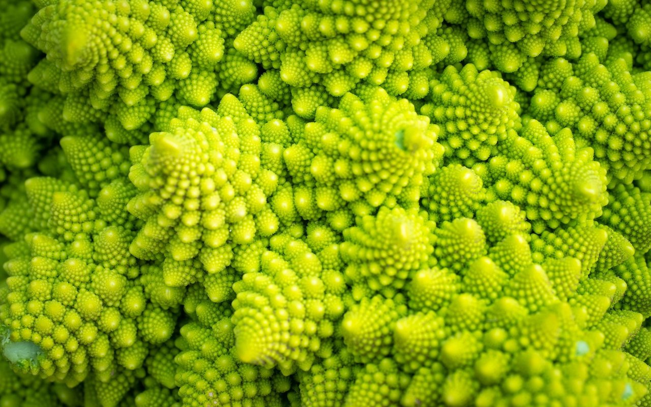 Romanesco-Brokkoli.