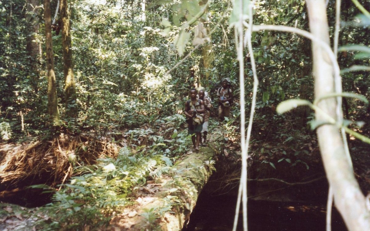 Bambuti-Pygmäen kennen den Weg durch den Ituri-Wald. Sie leben nomadisch und wissen auch, wo das geheimnisvolle Mewa-Edo liegt. 