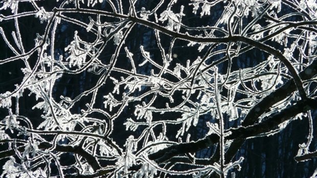 Schnee, Frost und Blechschäden; "Egon" hinterlässt seine Spuren in der Schweiz. (Symbolbild Pixabay)