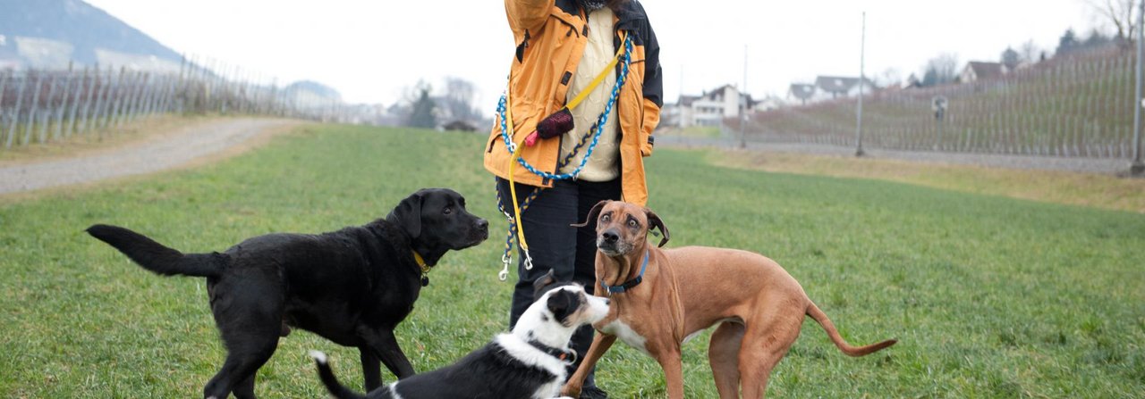Hundehortleiterin Ruth Thole unterwegs mit Schützlingen.