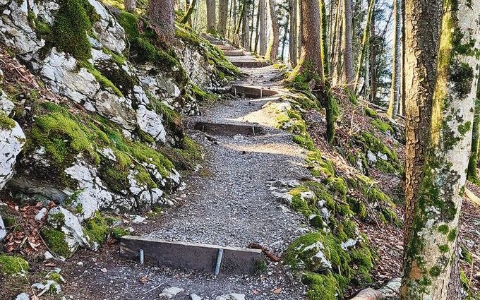 Nach dem flachen ersten Abschnitt dem See entlang zieht der Waldweg in Richtung Emmetten an.