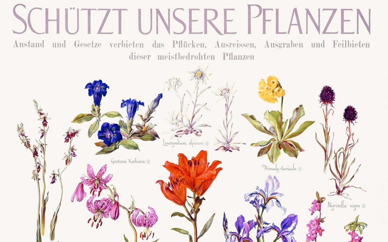 Das 1940 publizierte Pflanzenschutzplakat.