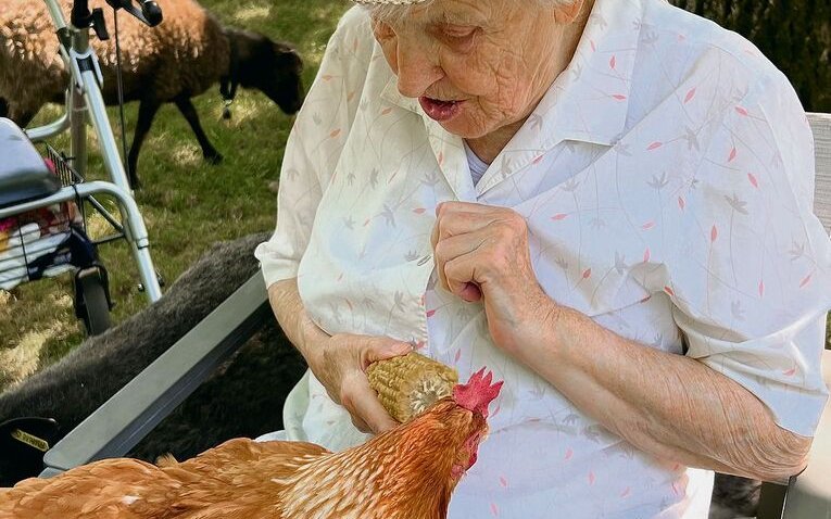 Hühner eignen sich für tiergestützte Interventionen, wie grundsätzlich alle domestizierten Tiere.