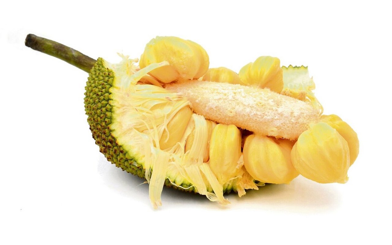 Jack-Früchte werden auf der Insel Principe gekocht und gegessen. 