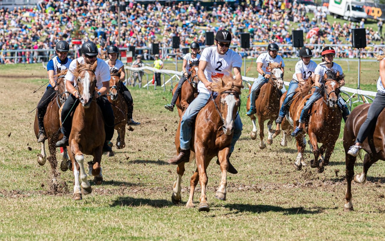 Die Bauernrennen sind eines der Highlights des Marché-Concours.