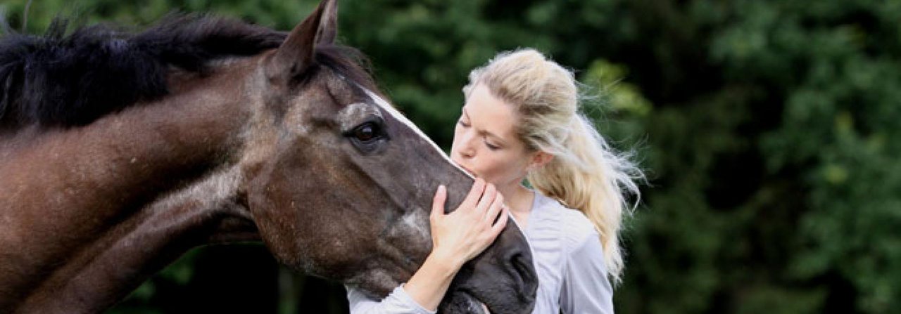 Bei sorgfältiger Pflege und sensiblem Umgang kann das ältere Pferd noch viele glückliche Jahre erleben.