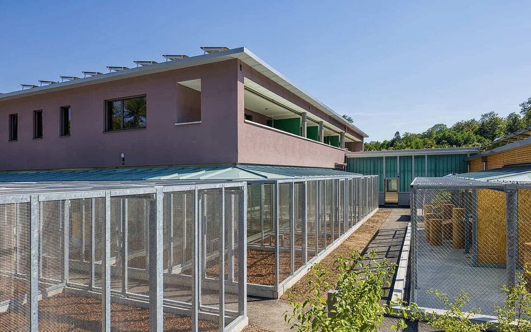 Das Tierzentrum Bern wurde vollständig neu gebaut und bietet Heimtieren grosse Zwischenunterkünfte, bevor sie bei neuen Halterinnen ein Zuhause finden. 