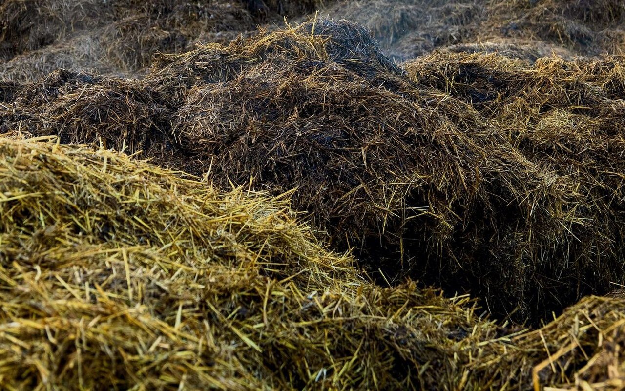 Die ganz genaue Zusammensetzung von Gülle variiert jedoch immer nach Fütterung und Haltung der Tiere.