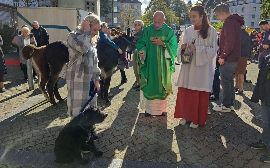 Sogar ein Esel und ein Lama waren an der Segnung anwesend.
