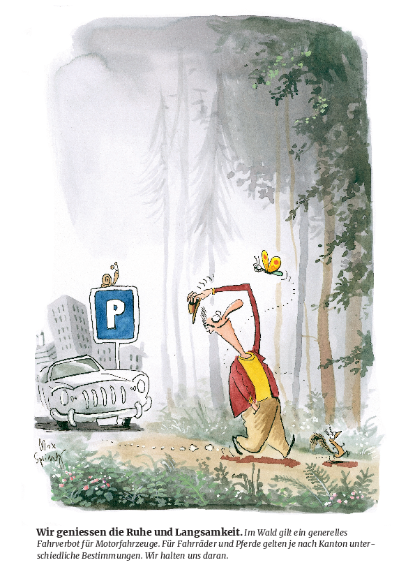 Autos und Motorräder sind im Wald generell verboten.