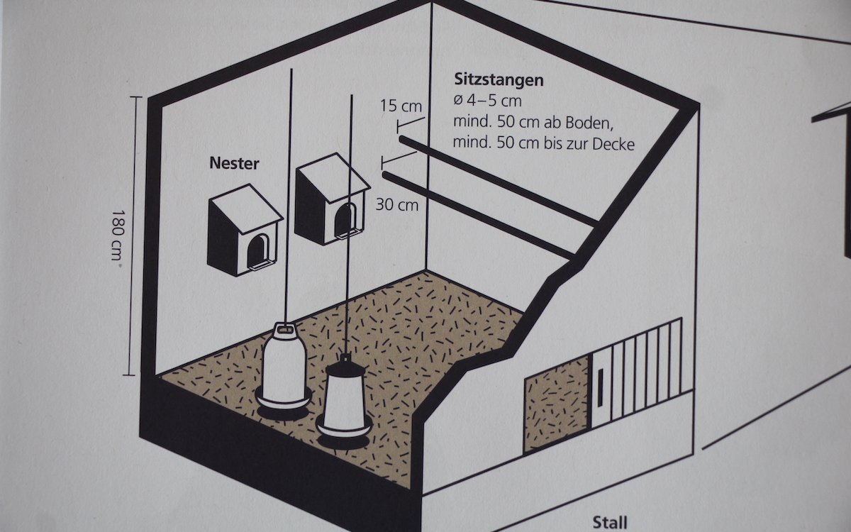 Ein Hühnerhaus mit allen wichtigen Einrichtungsgegenständen wie Legenestern, Sitzstangen, Futter- und Wassergefässen. 