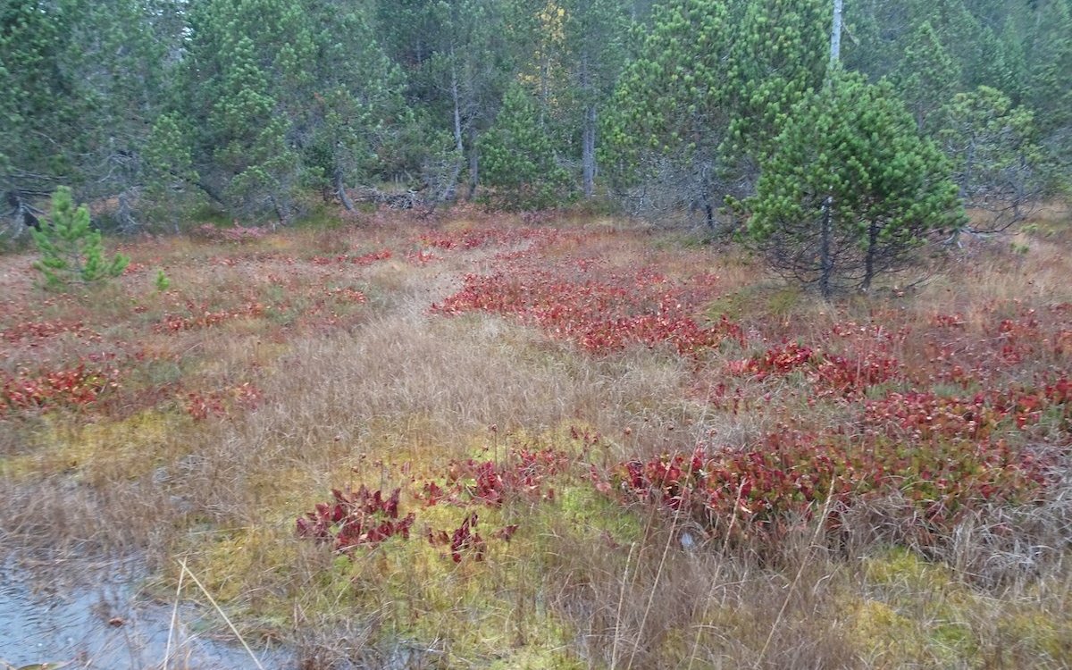 Faszinierender Rundblick im Marais des Tenasses bei Les Pléiades. 