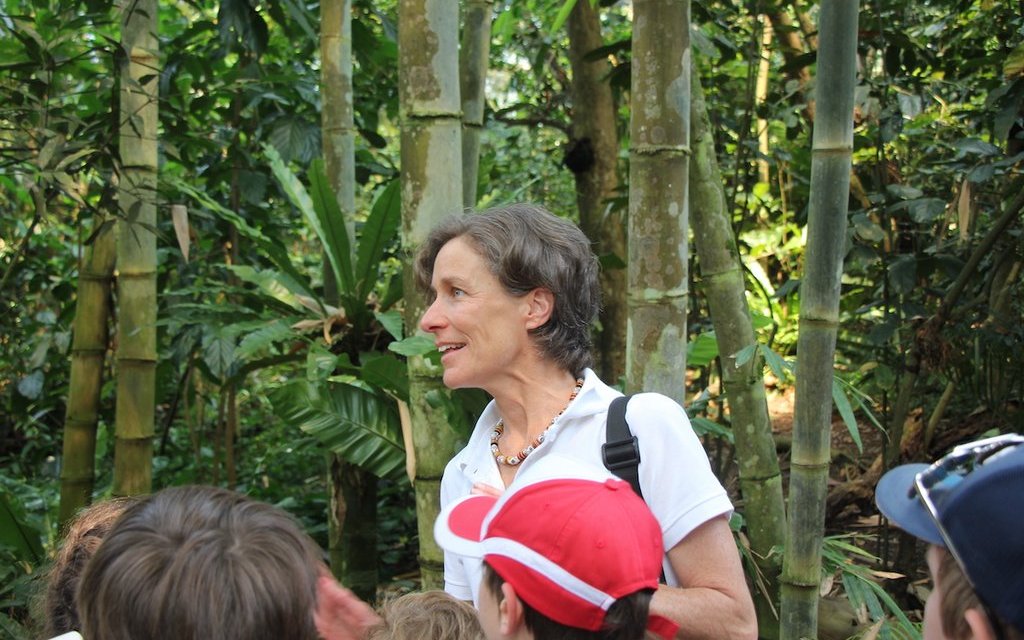 Eine Expedition mit der Zoopädagogin Francesca Balmelli durch den Masoala-Regenwald in Zürich ist ein besonderes Erlebnis. 
