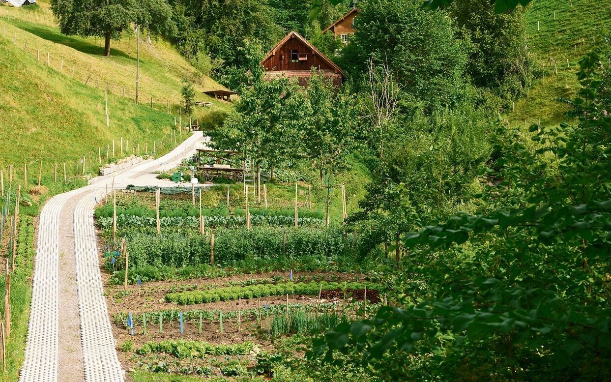 Ziel des Vereins Selbsterntegarten.ch ist es, Menschen durch den eigenen Gemüseanbau und die Selbsternte wieder direkt mit der Herkunft ihrer Nahrungsmittel zu verbinden.