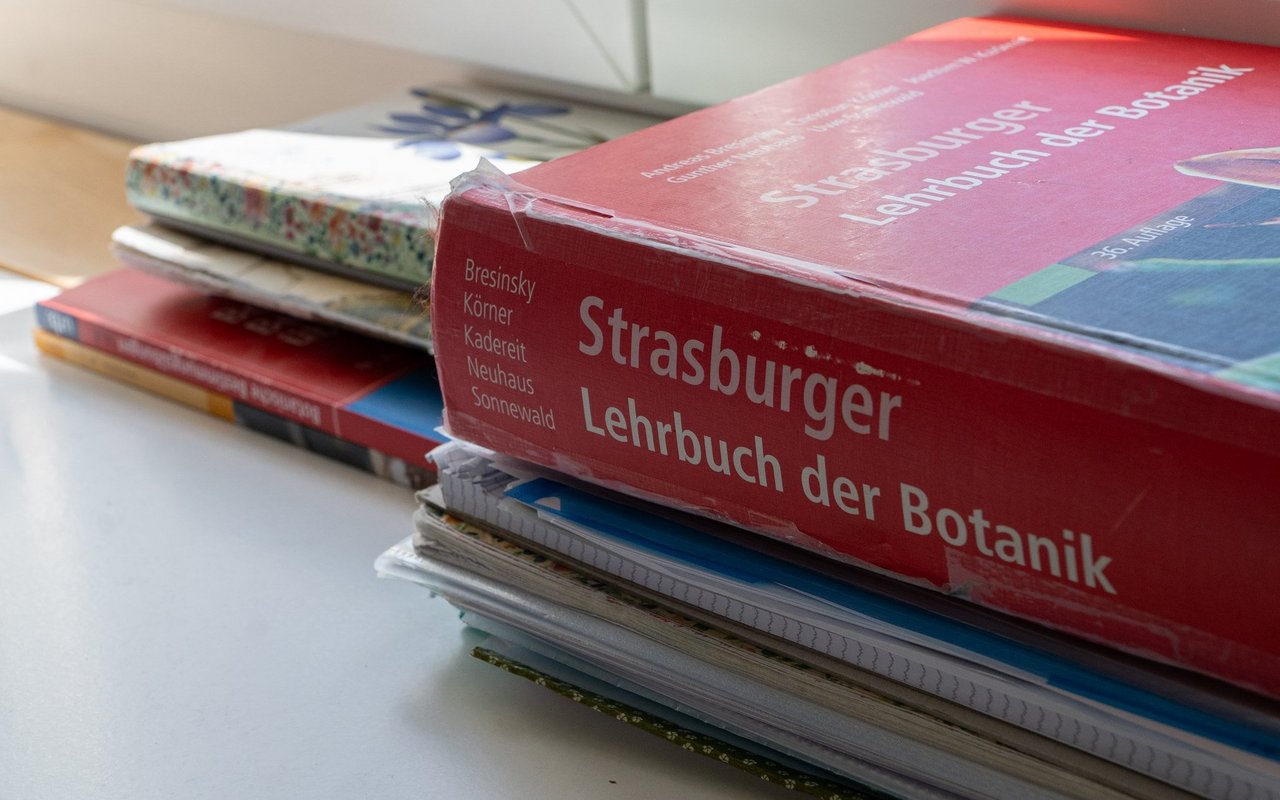 Nur ein winziger Teil ihrer vielen Botanikbücher. 