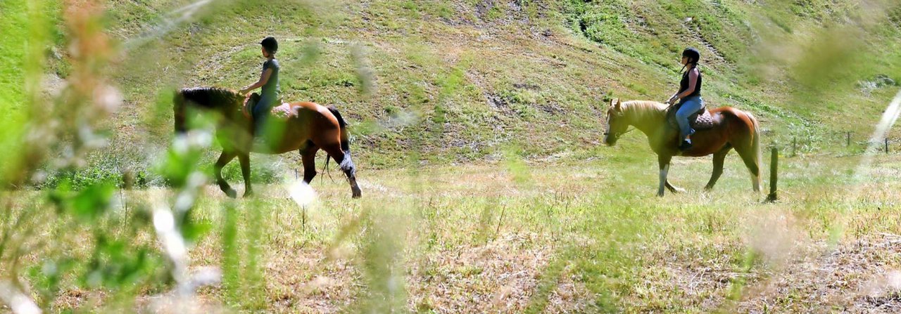 Ein Ausritt in der Gruppe macht Spass und ist Erholung für Pferd und Reiter.