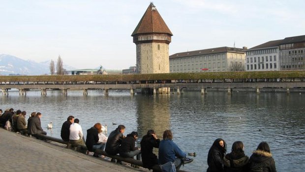 luzerntauben.jpg
