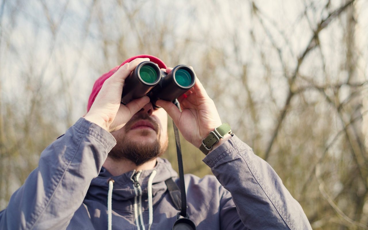 Um das passende Fernglas zu finden, ist es wichtig, sein Einsatzgebiet zu kennen. Bei gutem Licht eignen sich Gläser mit einem kleineren Objektivdurchmesser. 