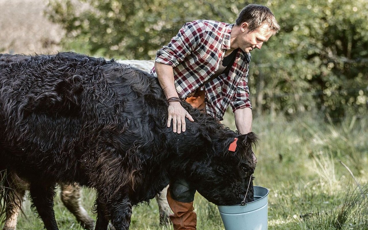 Jonathan Kobel ist eine möglichst natürliche und damit tierfreundliche Rinderhaltung ein grosses Anliegen.