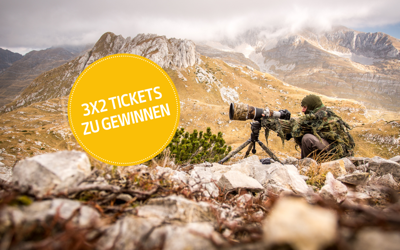 Die preisgekrönten Fotografen und Filmemacher Sarah Ziegler, Simon Straetker und Joshi Nichell entführen Sie auf eine unvergessliche Reise durch Europas letzte Wildnisgebiete.