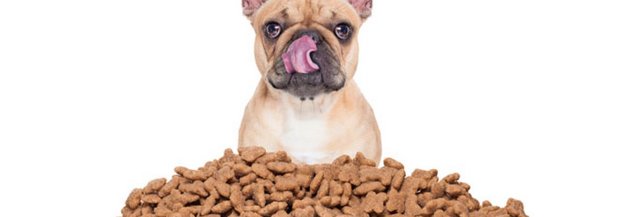 hundefutter.jpg