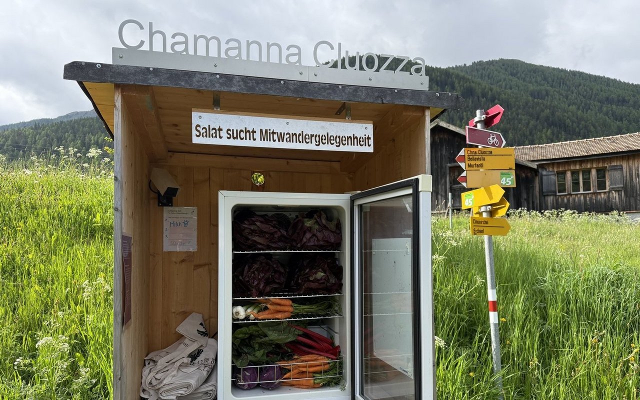 Wer schon immer einmal mit Salat und Chnobli wandern wollte, findet hier die Gelegenheit dazu.