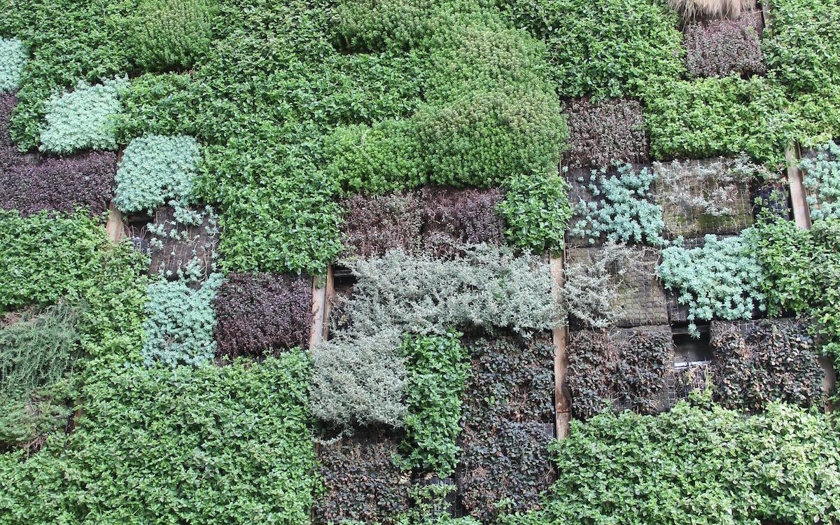 Soll ein Hochhaus mit grünen Wänden entstehen, muss es von Anbeginn an so geplant werden. 