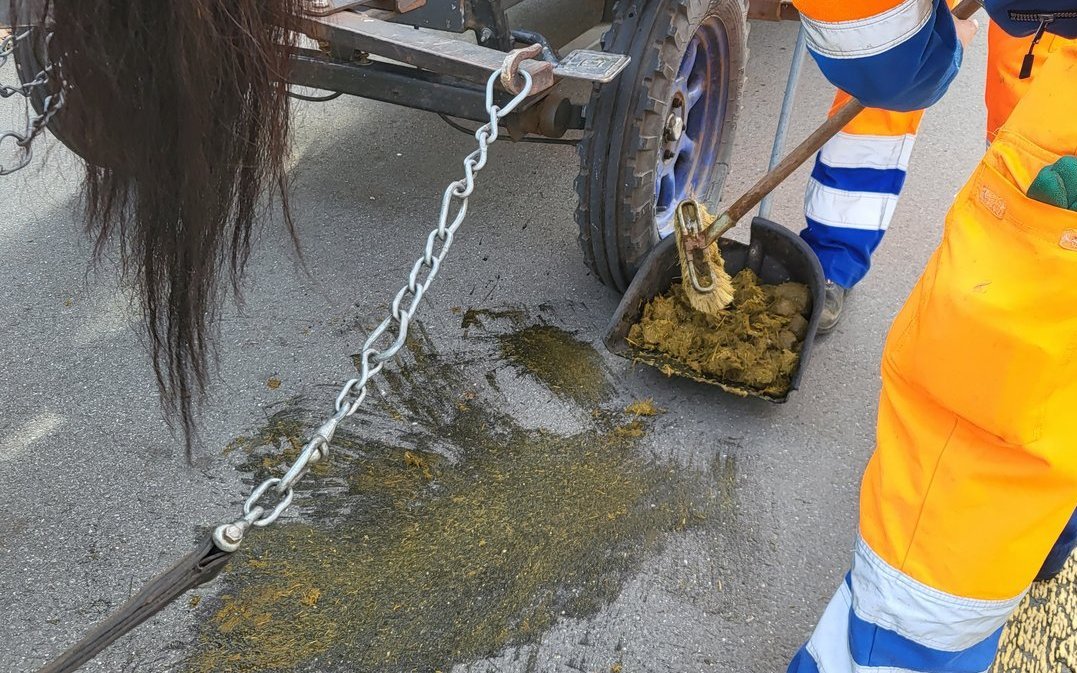 Die aufgeschlüsselte Bedeutung des Codeworts «Kaktus».